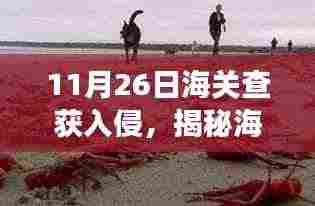 揭秘某年某月某日海关行动,入侵物种拦截战背后的故事