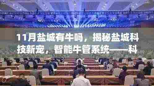 公司简介 第375页