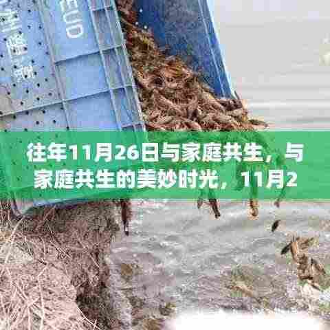11月26日,家庭共生与自然探索之旅的美妙时光