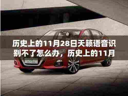 历史上的11月28日,天籁语音识别挑战与应对之道