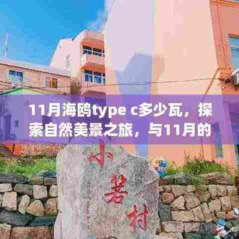 探索自然美景之旅,揭秘11月海鸥Type-C功率与共舞的自然体验