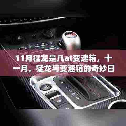 十一月猛龙与变速箱的日常探索,揭秘其AT变速箱的秘密