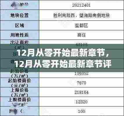 12月从零开始最新章节及评测介绍全解析