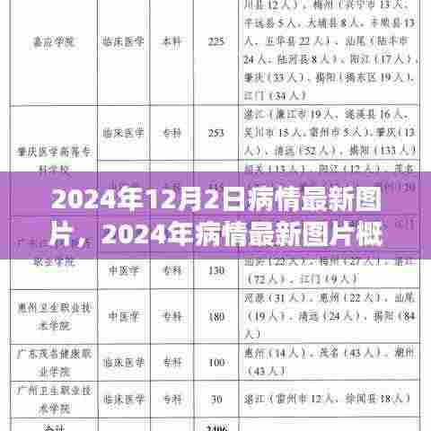 医学前沿,2024年病情最新图片概览与未来展望(要点详解)