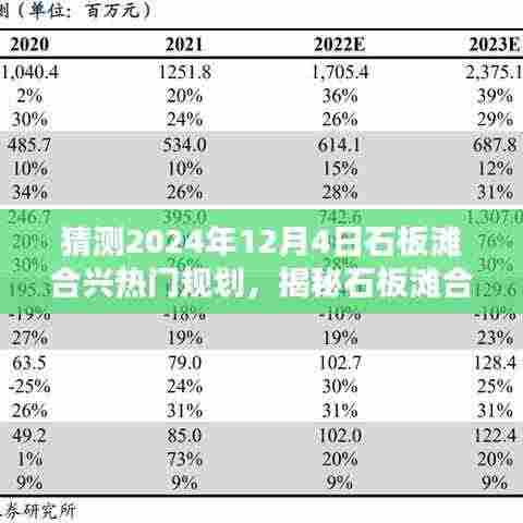 揭秘石板滩合兴未来规划，小巷深处的独特风味秘境与热门规划展望（2024年12月4日）