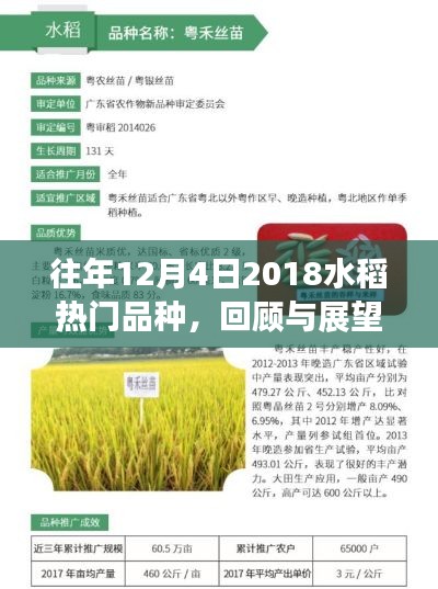 2018年12月4日热门水稻品种回顾与展望,热门品种概览