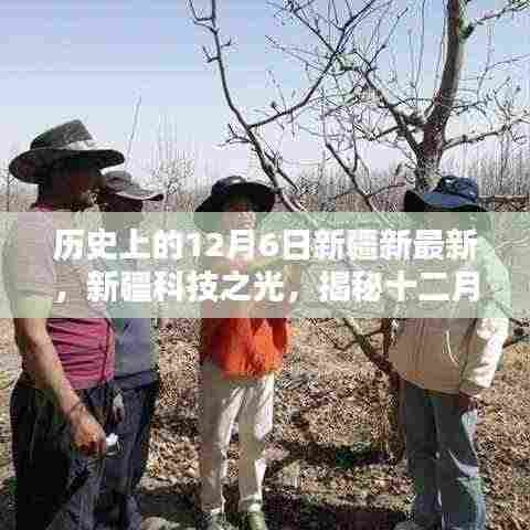 揭秘新疆科技之光,十二月六日诞生的最新高科技产品重塑生活体验之路