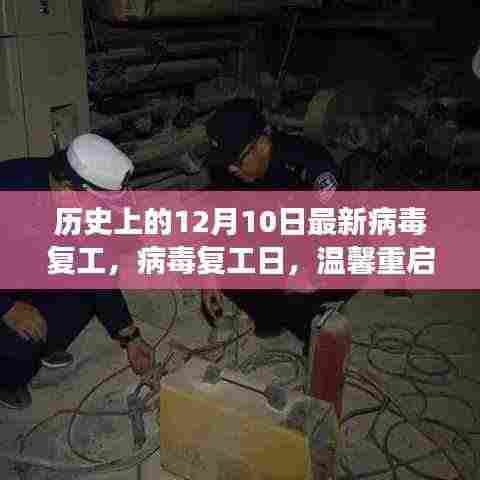 病毒复工日,十二月十日的历史回顾与温馨重启