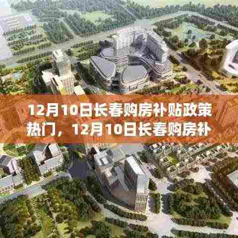 长春购房补贴政策引领绿色安居之旅