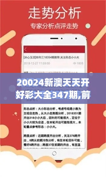 20024新澳天天开好彩大全347期,前沿解答解释定义_安卓版2.700