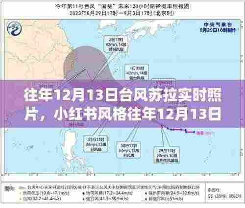 小红书风格往年台风苏拉震撼实时照片回顾，12月13日台风苏拉实时照片大放送