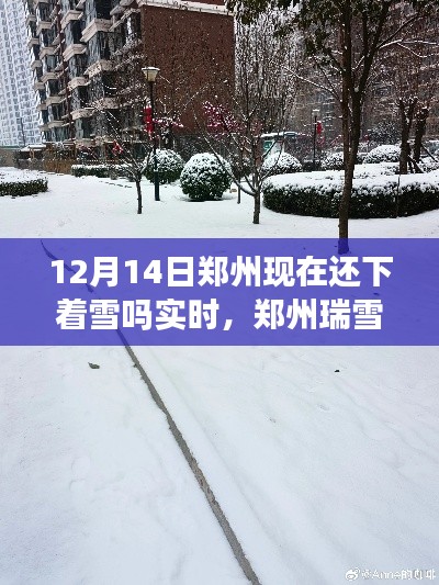 郑州瑞雪飘飘下的学习鼓舞,自信与成就感的实时体验