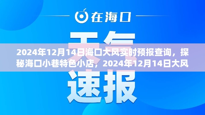 海口大风下的惊喜之旅,特色小店探秘与实时天气预报查询