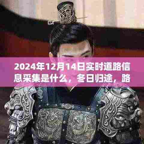 龙飞九五 第5页