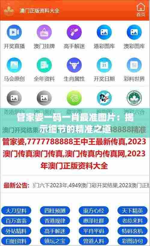 管家婆一码一肖最准图片:揭示细节的精准之道