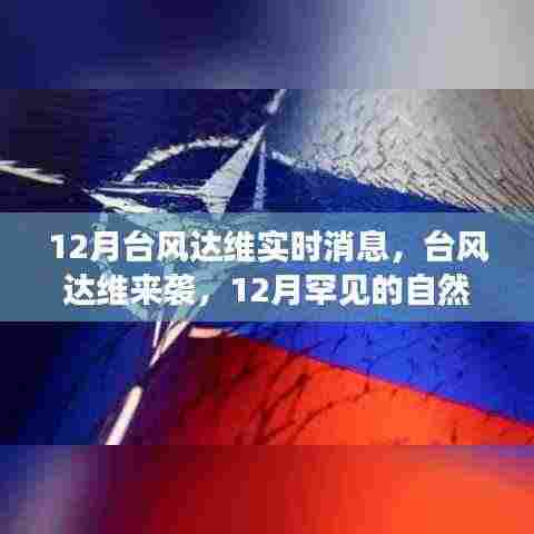台风达维来袭，12月罕见自然现象及应对策略分析实时更新
