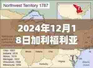 揭秘加利福利亚州选举纪实，实时票数统计幕后与最新进展