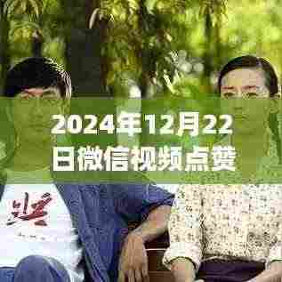 微信视频点赞实时性解析,聚焦2024年12月22日的数据表现与实时更新特点