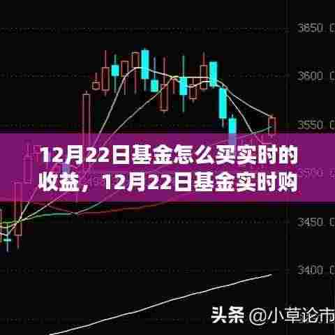 12月22日基金实时购买策略与收益洞察,深度解析及观点阐述