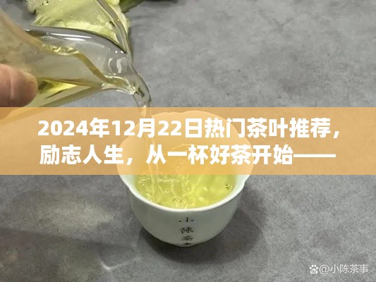 励志人生,从一杯好茶启程,2024年热门茶叶推荐指南