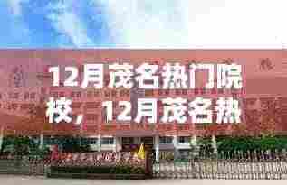 12月茂名热门院校盘点,教育热点与选择指南