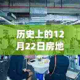 揭秘历史房地产风云,深度解析与观点碰撞——历史上的房地产风云变迁在12月22日这一天揭晓