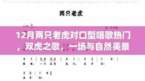 双虎之歌,与自然美景的邂逅,唤醒内心的平静之旅