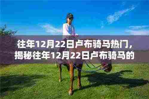 揭秘往年12月22日卢布骑马的热门现象