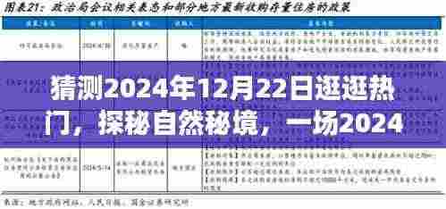 探秘自然秘境，揭秘奇妙旅行的未来篇章（2024年12月22日）