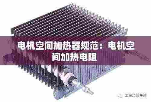 电机空间加热器规范:电机空间加热电阻
