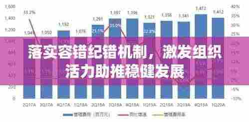 落实容错纪错机制,激发组织活力助推稳健发展