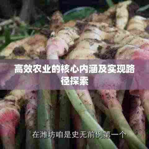 高效农业的核心内涵及实现路径探索