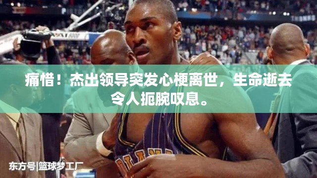 痛惜!杰出领导突发心梗离世,生命逝去令人扼腕叹息。