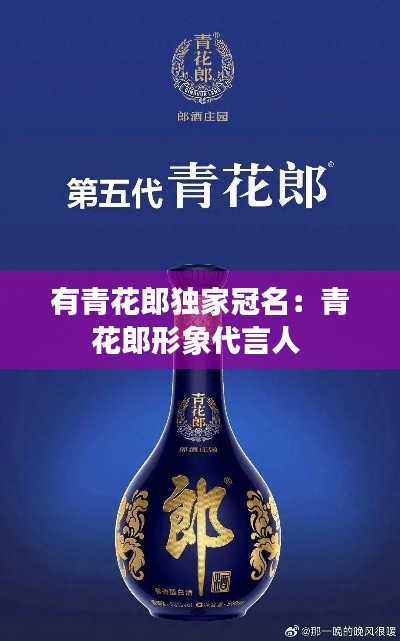 有青花郎独家冠名:青花郎形象代言人