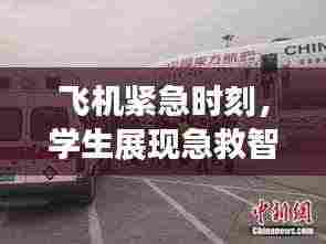 飞机紧急时刻,学生展现急救智慧救治突发疾病乘客