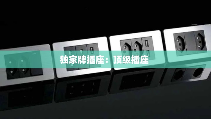 独家牌插座：顶级插座 