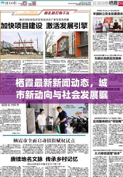 栖霞最新新闻动态,城市新动向与社会发展瞩目关注