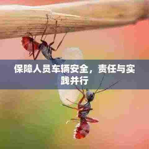 保障人员车辆安全,责任与实践并行