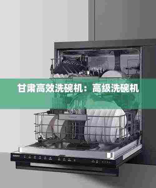 甘肃高效洗碗机:高级洗碗机
