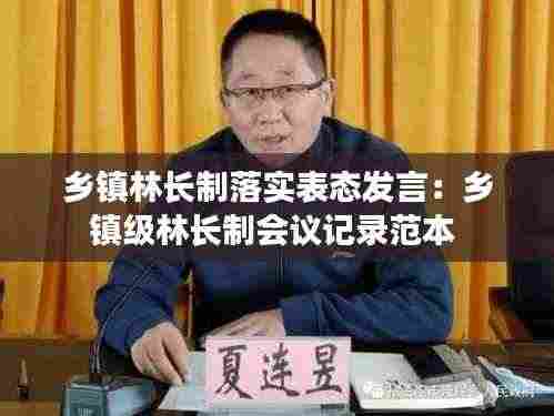 乡镇林长制落实表态发言:乡镇级林长制会议记录范本