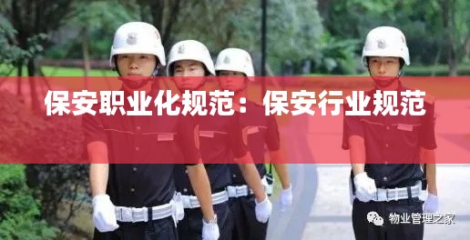 保安职业化规范:保安行业规范