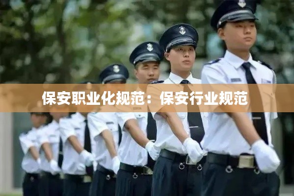 保安职业化规范：保安行业规范 