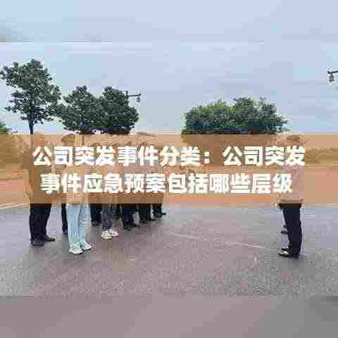 公司突发事件分类:公司突发事件应急预案包括哪些层级