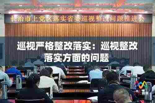 巡视严格整改落实：巡视整改落实方面的问题 