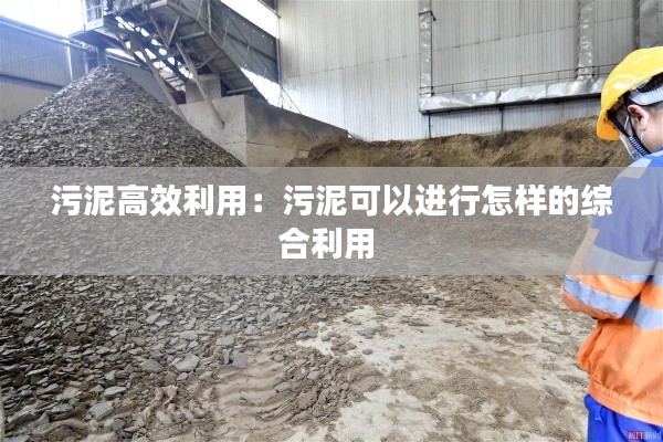 污泥高效利用:污泥可以进行怎样的综合利用