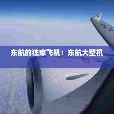 东航的独家飞机:东航大型机