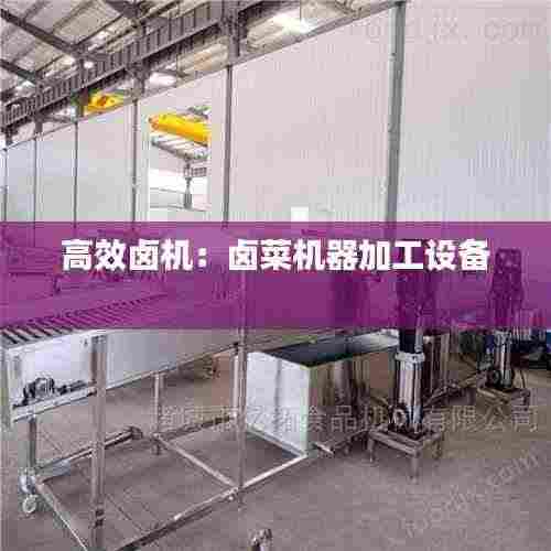 高效卤机:卤菜机器加工设备