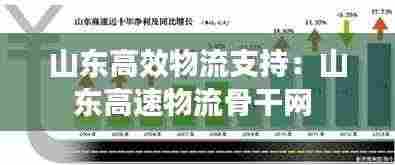 山东高效物流支持:山东高速物流骨干网