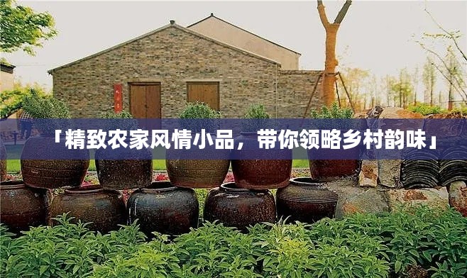 「精致农家风情小品,带你领略乡村韵味」