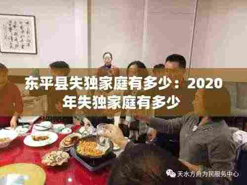 东平县失独家庭有多少:2020年失独家庭有多少